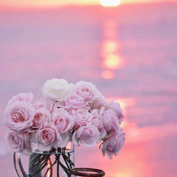 Meet your Posher, Nancy - Picture 6 of 7